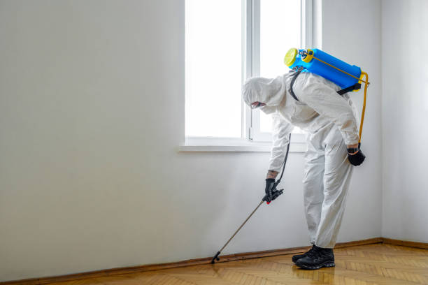 Best Best Pest Control Companies  in Enon, VA
