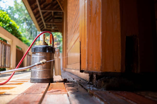 Best Pest Control Treatment  in Enon, VA