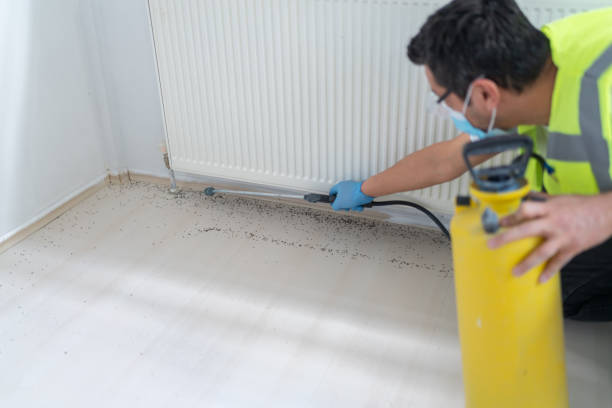 Best Cockroach Control Services  in Enon, VA